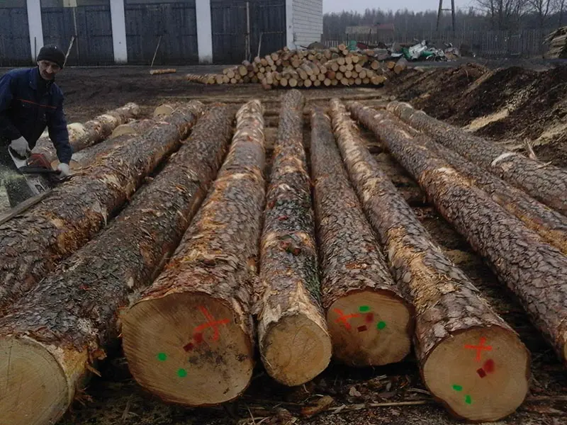 A worker sorting tree logs