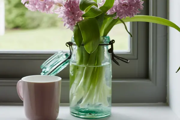 Glass jug holding flowers in front of a grey window
