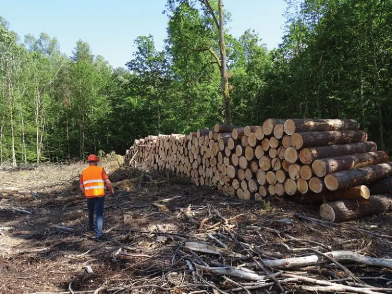 Man in high vis vest walking past big pile of logs