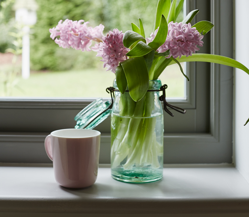 Spring flowers in a transparent pot by a grey timber window